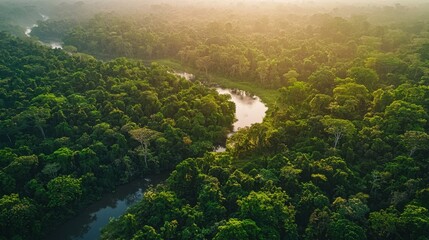 Amazon rainforest aerial view background. River cutting through dense, lush tropical forest. Calm water reflects greenery of surrounding trees and creating serene and peaceful atmosphere
