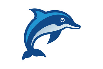 dolphin isolated on white background