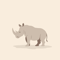 Fototapeta premium Rhinoceros standing peacefully on a neutral background 