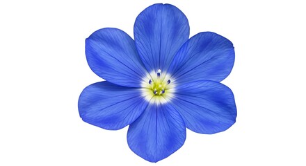 Azure Bloom: Hyperrealistic Flower Study AI Generated