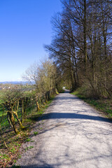 Scenic view of rural landscape of organic farm with idyllic gravel road and forest at Swiss City of Zürich on a sunny spring afternoon. Photo taken April 5th, 2025, Zurich, Switzerland.