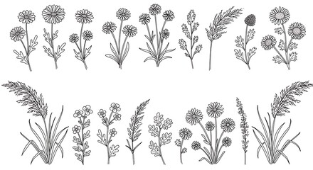 Botanical Line Art: Delicate Wildflower Sketches AI Generated