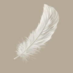 Obraz premium Delicate White Feather: A Symbol of Grace and Purity
