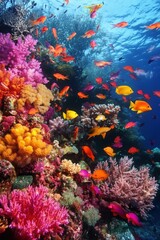 Fototapeta premium Colorful coral reef with many small fish swimming in blue