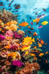 Obraz premium Colorful coral reef with many small fish swimming in clear