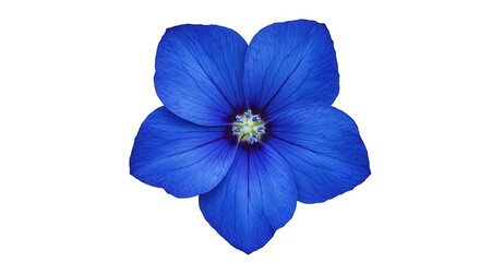 Sapphire Bloom: A Study in Cobalt AI Generated