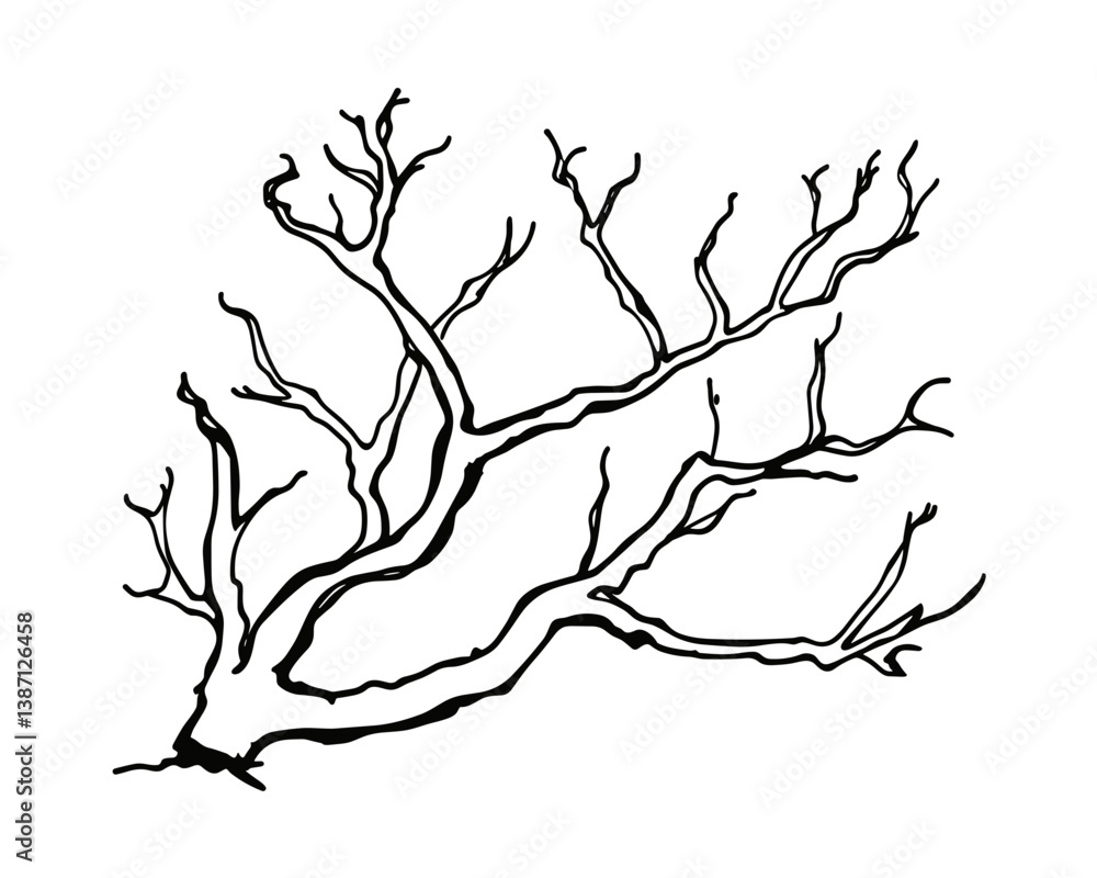 Poster bare tree branch illustration in vector icon outline style. simple art.