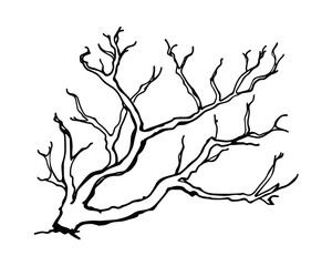 Bare tree branch illustration in vector icon outline style. Simple art.