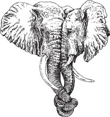 Obraz premium Elephant lovers black and white vector