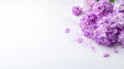 Fototapeta premium Purple lilac flowers arranged on a clean white background with copy space.