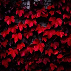 red leaves background