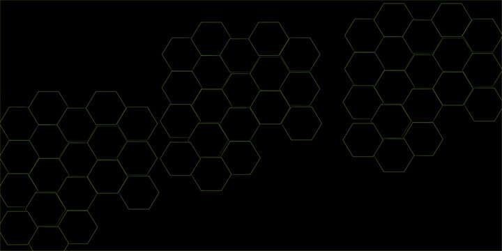 Abstract pattern with hexago black and gray  line paper background eometric mesh cell texture. modern futuristic  vector illustration geometry science and technology cover  