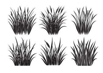 Grass  silhouette Vector Set