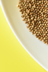 SEMILLAS DE CILANTRO (Coriandrum Sativum)