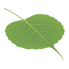 Isometric Illustration of a Sacred Bodhi Leaf