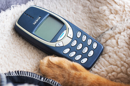 Belarus, Minsk - 11.01.2025: A Nokia mobile phone is resting on a blanket beside a cats paw