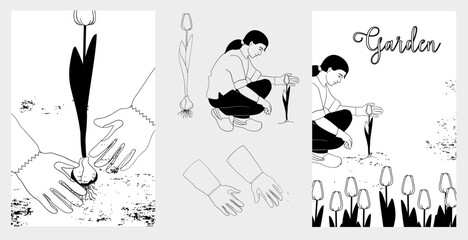 Woman in garden gloves tending blooming tulips. Set elements about gardening, black and white vector illustration