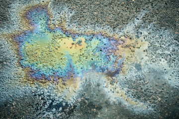 A vivid oil slick spreads across the asphalt surface, displaying various hues of blue, green, and yellow. Rainwater has pooled, enhancing the vibrant colors under the daylight.