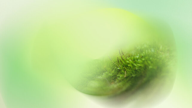 spring moss mesh