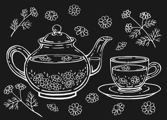 Tea set with healthy green tea, chamomile. Teapot and cup. Hand drawn vector illustration.