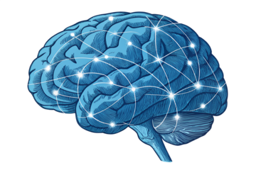 Brain in blue working with top performance. isolated on transparent background