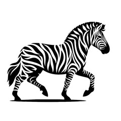 zebra cartoon isolated on white