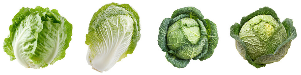 Fototapeta premium Four varieties of fresh cabbage.