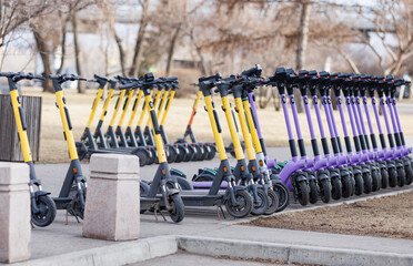 Many electric scooters are parked on the street waiting for customers.