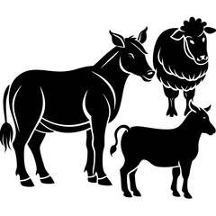 black and white horse