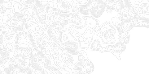 Abstract minimal The patter discovery vector topo map creative discovery White wave grid stripe line map topography. vector geographic contour mounted map background.	