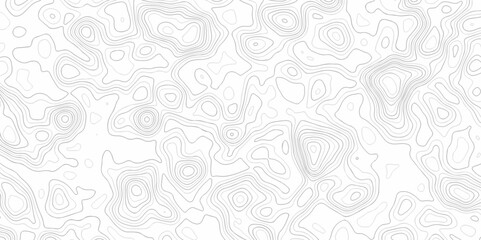 Abstract minimal The patter discovery vector topo creative discovery. White wave grid stripe line map topography. vector geographic contour mounted map background.	