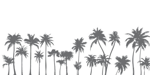 Silhouettes of palm trees standing neatly in a row like a forest or summer and beach background © Adi