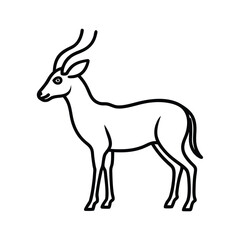 antelope line art illustration on white background 
