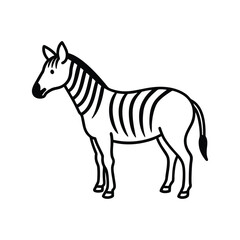 zebra line art illustration on white background