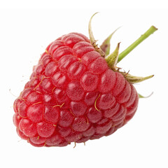Fresh Ripe Raspberry Cluster with Green Stem on Transparent Background for Culinary Designs