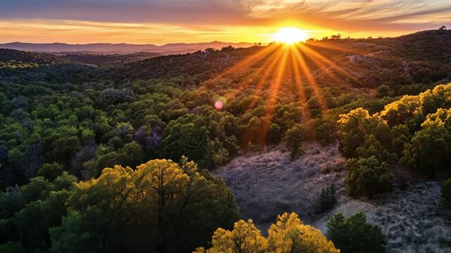 Golden Hour in the Hill Country: A Texas Sunset