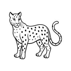 leopard line art illustration on white background