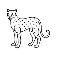 cheetah line art illustration on white background