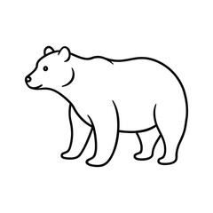 bear line art illustration on white background