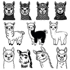 alpaca outline icon set
