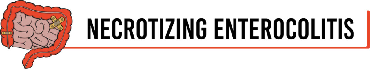 necrotizing enterocolitis