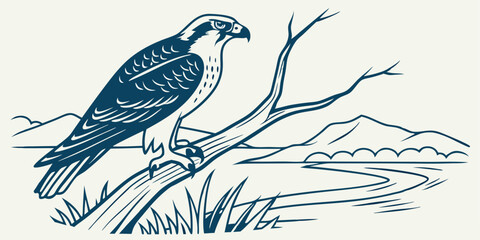 Elegant Osprey Vector Illustration: Nature Inspired Art for Creative Projects
