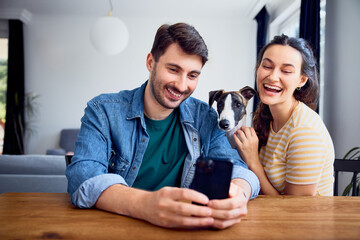Couple with whippet dog at home having fun at a table talking selfie