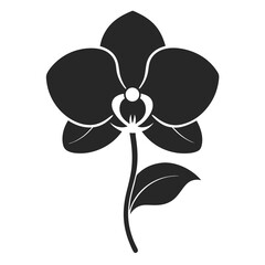 Orchid Flower icon silhouette vector illustration