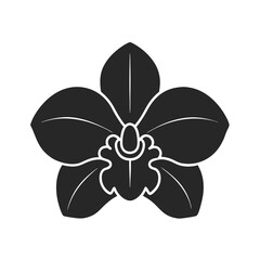 Orchid Flower icon silhouette vector illustration