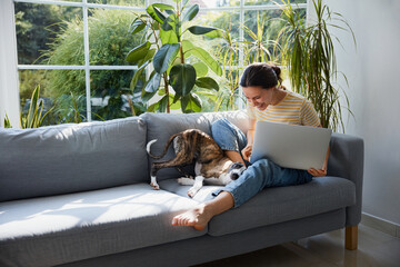 Woman having fun with her whippet puppy while working remotely at home