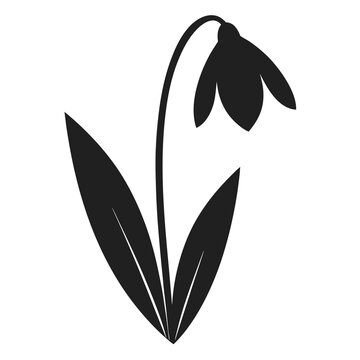 recommend clip art: snowdrop flower silhouette vector illustration