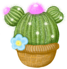 Cute cactus.