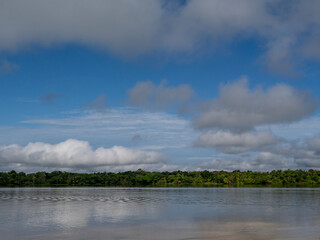 Amazon river landscape near Santo Antônio do Içá.