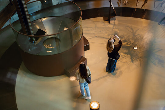 An overhead view of two White women in their 20s, a brunette, and a blond, looking around with amazement as they stand inside a spacious museum chamber, with the blond taking pictures with her phone